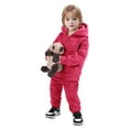 thumbnail image 4 of BAnala Baby Clothes for Girls Baby Boy Girl Clothes Fall Winter Outfits Hooded Long Sleeve Top pants Set Hot Pink,4-5 Years, 4 of 4