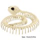 thumbnail image 3 of Réplica de esqueleto de serpiente realista para decoración de Halloween, juguete educativo, 15 pulgadas de largo, 3 of 5