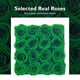 thumbnail image 5 of Rosas preservadas Eterfield Forever Flowers 16 verde negruzco, 5 of 6