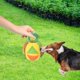 thumbnail image 1 of Pelota de Snuffle para perros, pelota de Snuffle interactiva para razas pequeñas, medianas y grandes, para el aburrimiento, juego de Snuffle para mascotas, entrenamiento de alimentos más verde, 1 of 8