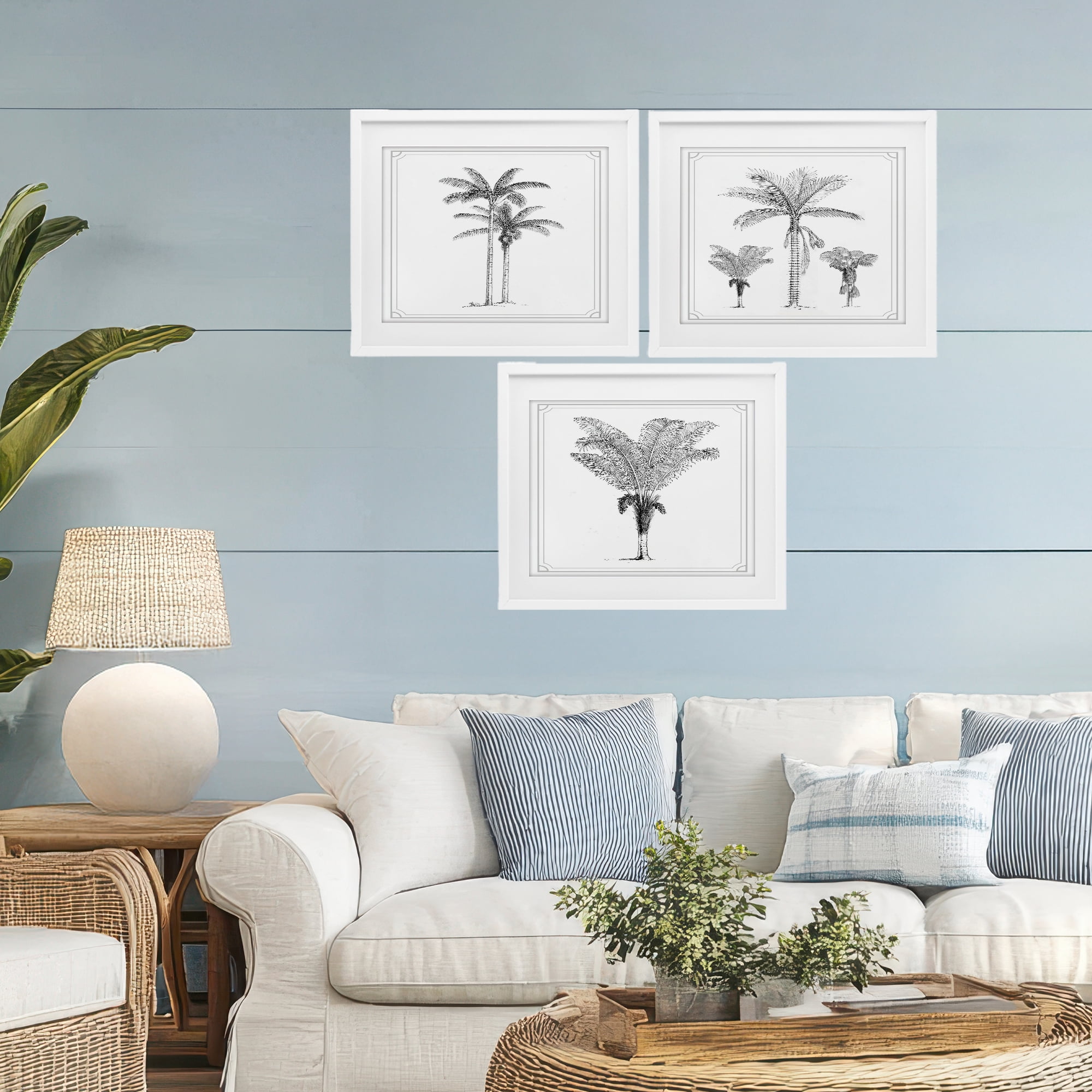 Minimal Vintage Palm Tree Sketches 3 Piece White Framed Print Under Glass Set, design by Lettered and Lined
