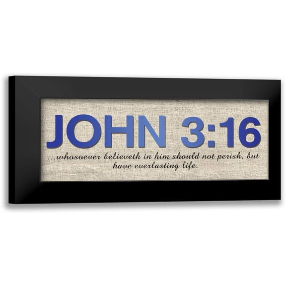 Gibbons, Lauren 14x8 Black Modern Framed Museum Art Print Titled - John 316