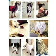 thumbnail image 3 of Bottes Imperméables pour Animaux, Protecteurs de Pattes Respirants avec Bandes Réfléchissantes, Robustes Antidérapantes Résistantes à l'Eau pour Petits, Moyens et Grands Chiens, Lot de 4 Pcs, 3 of 8