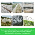 thumbnail image 4 of Plant Netting Cover High-Density Polyethylene Garden Bird Barrier Breathable Garden Netting Mesh Tailorable Plant Protective Mesh for Vegetable Farm Potted Plant Courtyard, 4 of 11