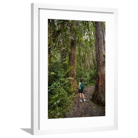 Hiking Manoa Falls Trail, Honolulu, Oahu, Hawaii, United States of America, Pacific Framed Print Wall Art By Michael