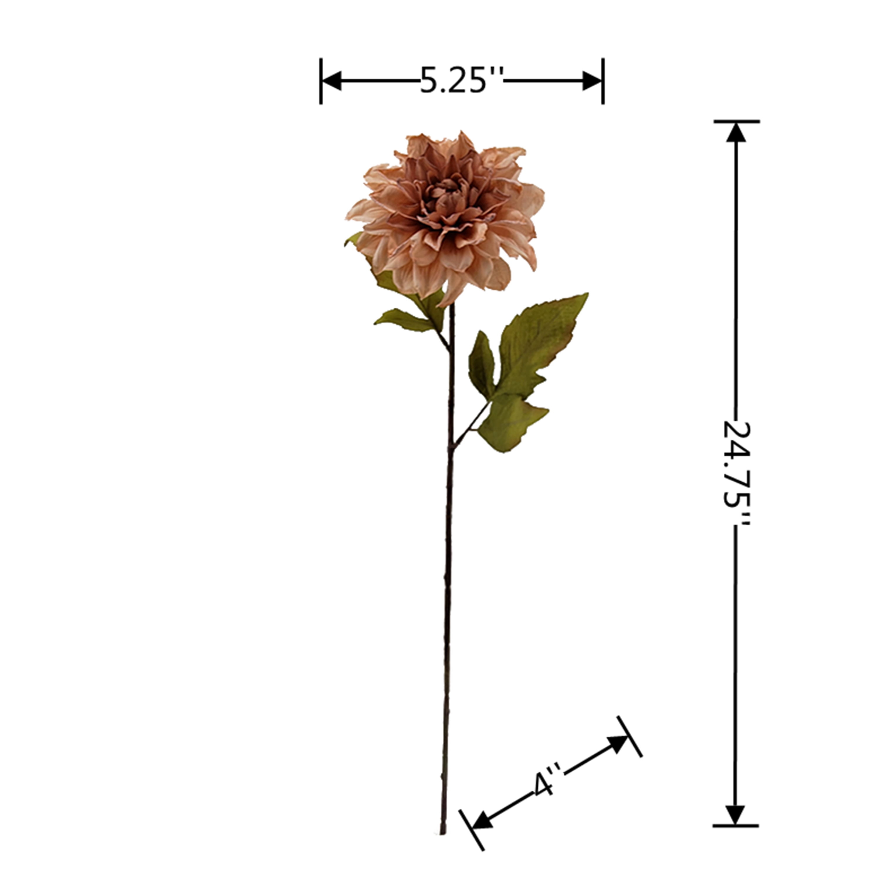 Mainstays Indoor Artificial Flower Stem, Dried Look Dahlia, Cream Color, Assembled Height 24.75"