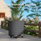 thumbnail image 2 of Garvee jardinera con ruedas y depósito de autoriego, cama de cultivo de acero galvanizado con ruedas con freno para uso interior o exterior, 2 of 7