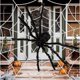 thumbnail image 4 of 1/3 piezas de arañas gigantes de peluche negras para decoración de Halloween, arañas grandes aterradoras para exteriores, fiestas de Halloween, bares, casas embrujadas, accesorios de terror, 4 of 5