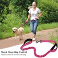 thumbnail image 5 of VIVAGLORY Dog Leash Pullsafe Bungee Dog Leash with 2 Padded Handle & Double Handle for Training & Walking, Bungee Anti Pull for Pet That Pull, 4ft x 1in, Turquoise, 5 of 6