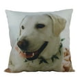 thumbnail image 4 of Pet Pillow | Custom Pillow | Throw Pillow | Pillows | Custom Dog Gifts | Custom Gift | Custom Cat Pillow | Custom | Home Decor | Embroidery, 4 of 8