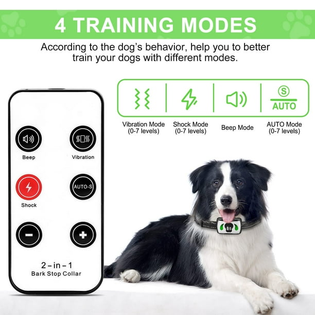 Mini bark collar online
