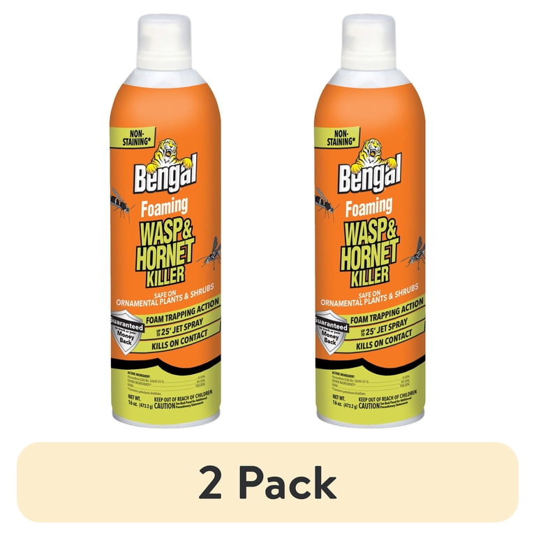 Bengal Foaming Wasp & Hornet Killer, 16 oz, 2-Pack photo 1