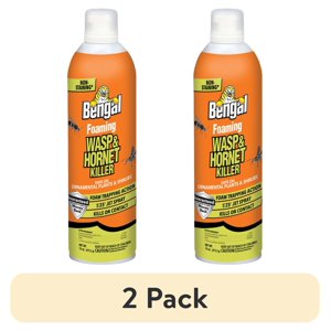 Bengal Foaming Wasp & Hornet Killer, 16 oz, 2-Pack