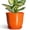 Orange, variant on Ordivic 6 inch Blue Glaze Ceramic Plant Pot with Drainage Hole & Saucer, Small Decorative Flower Pots for Succulents & Herbs, Home Decor