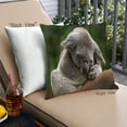 thumbnail image 1 of Ahgly Company Animals Koala Outdoor Throw Pillow, 18 inch by 18 inch, 1 of 6
