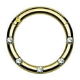 thumbnail image 3 of Hinged Segment Hoop Rings with 5 Flush Set Front Facing Petite Crystals, 3 of 11