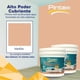 thumbnail image 2 of PINTEX Kit Pinta-me 2 Galones Pintura Vinil-Acrílica 3.8 L c/u | Incluye Brocha, Rodillo, Felpas, Masking Tape y Plastiprotector | Acabado Mate | Interiores y Exteriores | Melon, 2 of 5