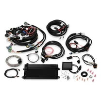 Holley EFI 550-613 Fuel Injection System