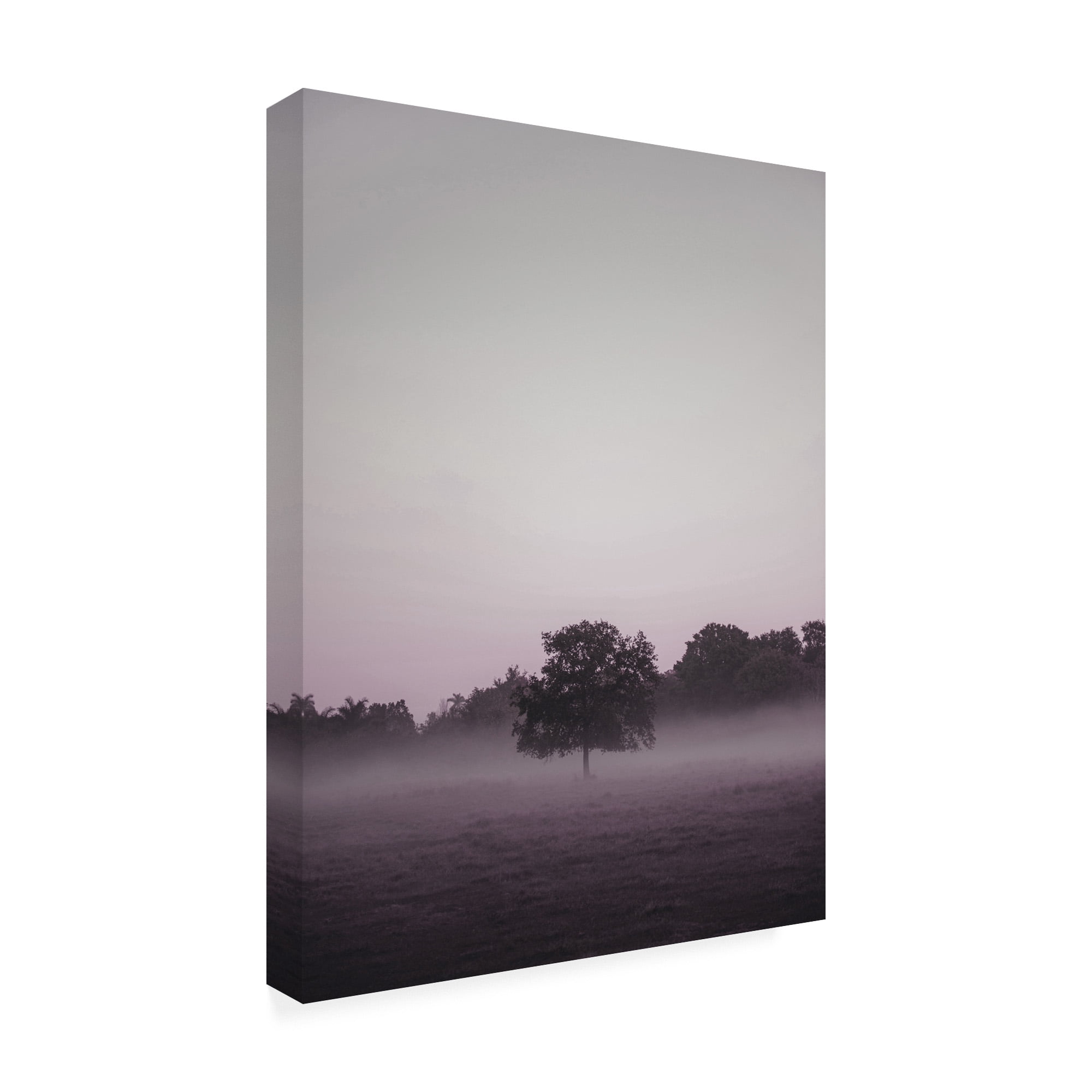 Trademark Fine Art 'Purple Light 2 Fabrikken' Canvas Art by Design Fabrikken