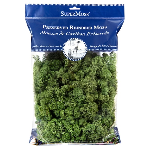SuperMoss Preserved Basil Reindeer Moss, 12 Pack
