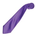 thumbnail image 2 of Premier  Adult Colours Satin Tie, 2 of 2