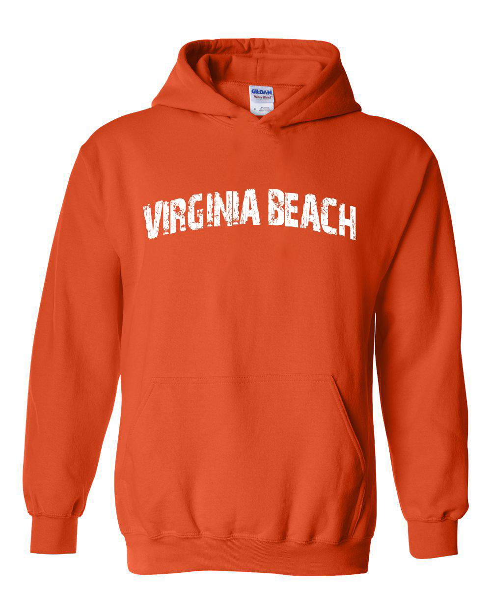 Artix Unisex Virginia Beach Hoodie Sweatshirt