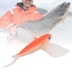 thumbnail image 5 of Wosune Se?uelo de Pesca, se?uelo de Pesca de 21 cm, Rojo/Azul/Negro para Diferentes Condiciones de Agua Pesca en Alta mar Se?uelo de Pesca Artificial Accesorios de Pesca(23 * 22 * 3cm-Red) Amonsee No, 5 of 6