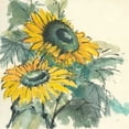 thumbnail image 2 of Paschke, Chris 12x12 White Modern Wood Framed Museum Art Print Titled - Sunflower I, 2 of 4