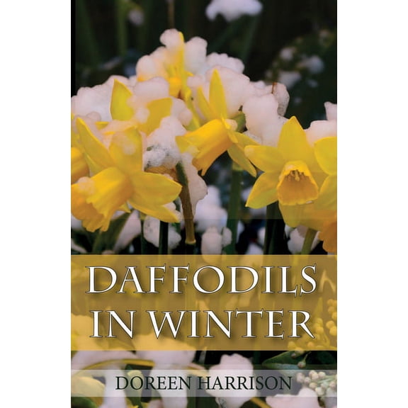 Daffodils in Winter (Paperback)