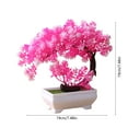 thumbnail image 3 of SHIMELE Artificial Bonsai Tree Decor, Mini Fake Plants, Faux Potted Greenery, Artificial Desk Plant, Small Indoor Decorative Plant, Tabletop Home Office Bedroom Living Room Decoration, 3 of 6