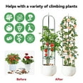 thumbnail image 4 of Heyfurni 6.3 Ft Obelisk Garden Trellis with 20pcs Clips, Plant Clips Green Metal Plant Support for Climbing Vines & Flowers, 4 of 9