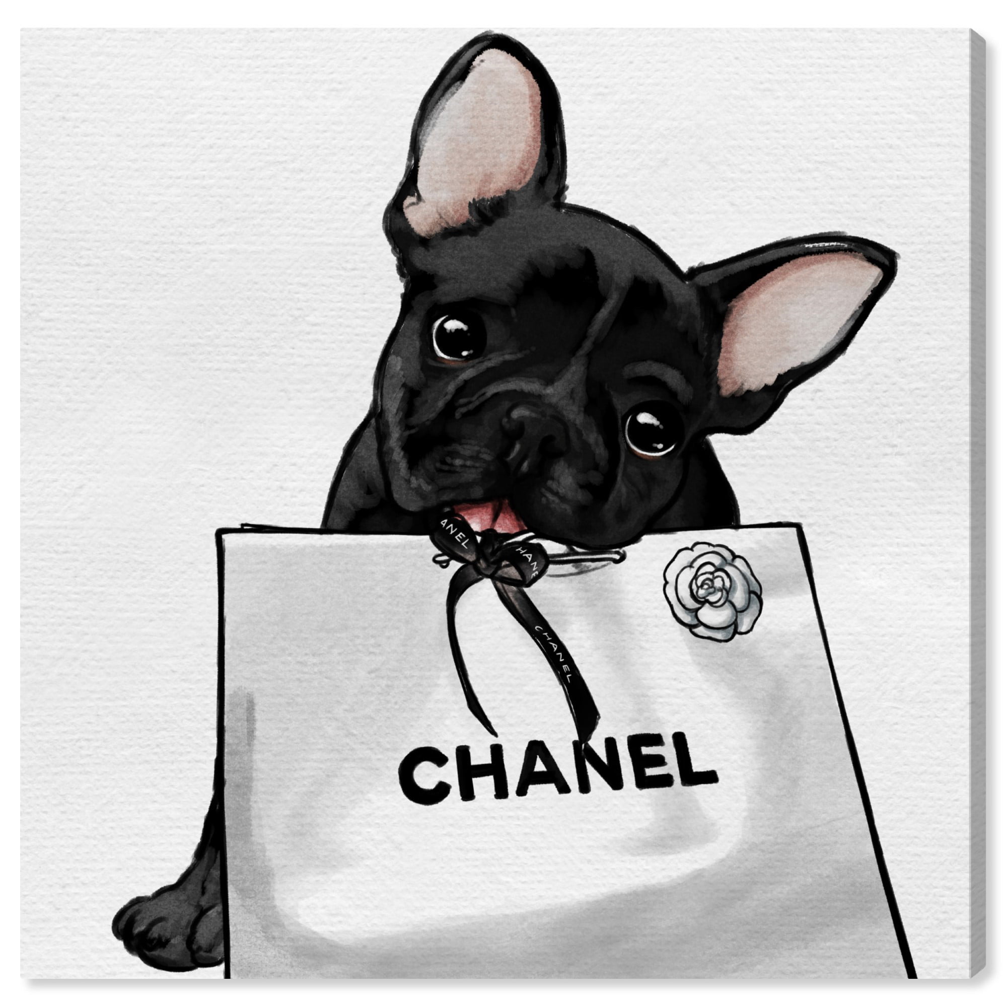 French Bulldog Flower Print CANVAS WALL ART Square Picture Black 