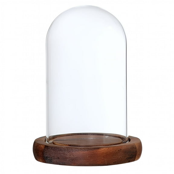 ACDANC Decorative Glass Cloche Bell Jar Dome with Wooden Base Display Decor
