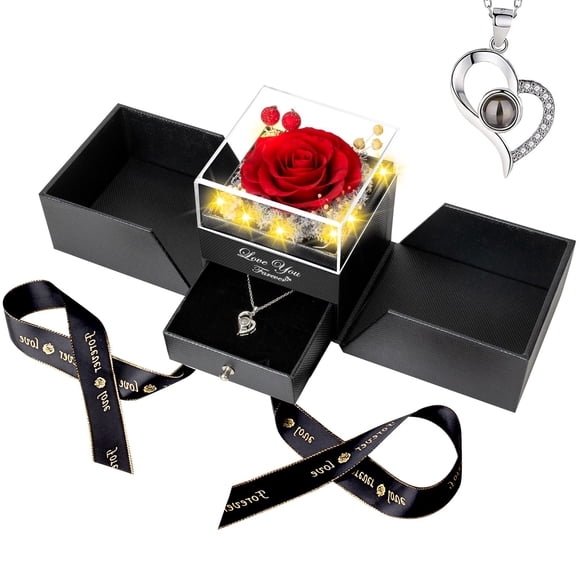 Rosa roja auténtica preservada en cristal con flores eternas con collar