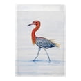 thumbnail image 1 of Betsy Drake FL820 Drapeau Aigrette Rougeâtre - 12.5 x 18 Po., 1 of 1