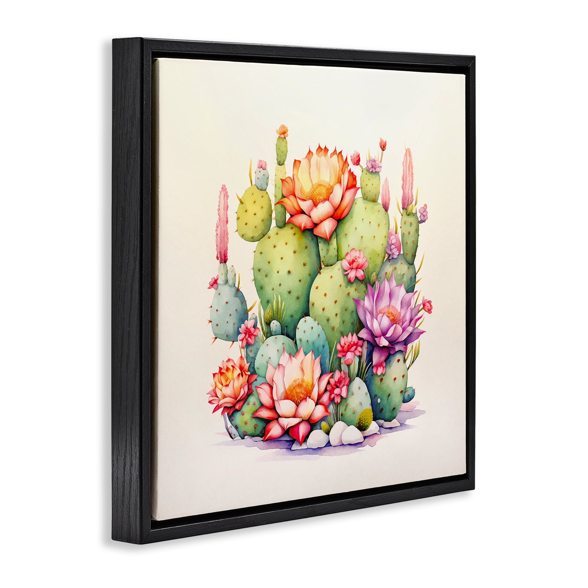 Stupell Industries Desert Spring Blooms Plants & Flowers Painting Black Floater Framed Canvas Art Print Wall Art, 18 x 18