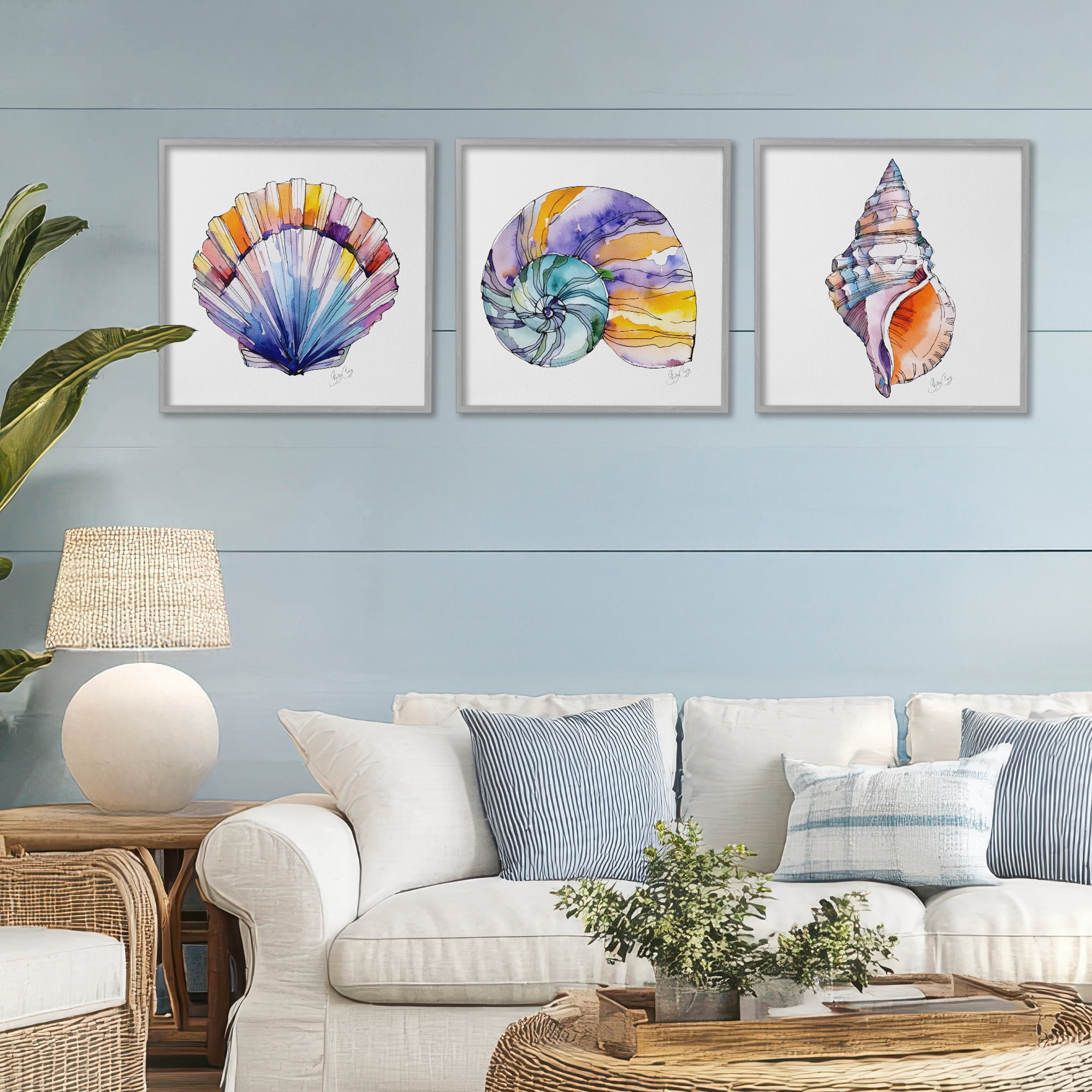 Stupell Industries Sunlit Seashells Watercolors 3 Piece Gray Framed Giclee Art Set, design by Shelly Craig