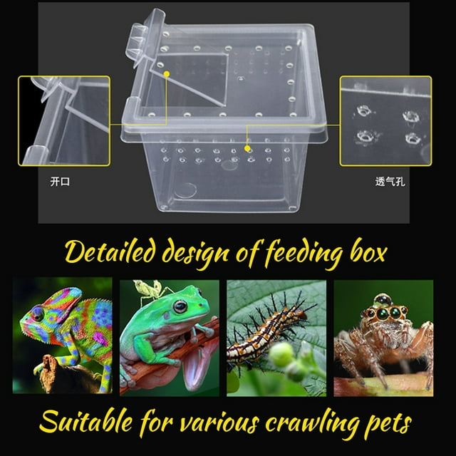 Langgg 10Pcs Reptile Feeding Box Lightweight Insect Container Transport Case Portable Pet Hatching House Acrylic Cage Breeding Habitat