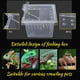 thumbnail image 5 of Greeniant Caja de alimentación para reptiles de 10 Uds., contenedor ligero para insectos, caja de transporte, casa portátil para incubar mascotas, jaula Terrarios Greeniant PT004109-00, 5 of 6