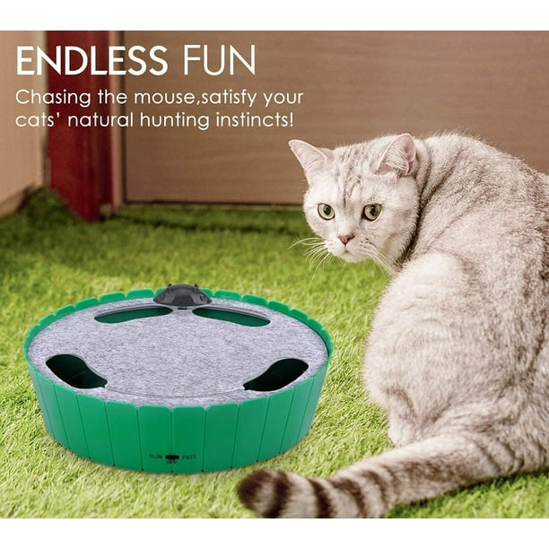 Electric Interactive Motion Cat Toy with Running Mouse & Feather Teaser Cat  Toy, Interactive Feather Wand Cat Toy Flying Feather Cat Catcher with Extra  Long 31.5 Wand and Small Bell 