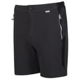 thumbnail image 3 of Regatta Mens Mountain II Shorts, 3 of 4