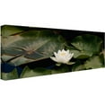 thumbnail image 2 of Trademark Fine Art "Zen Lily" Canvas Art by Kurt Shaffer, 2 of 2
