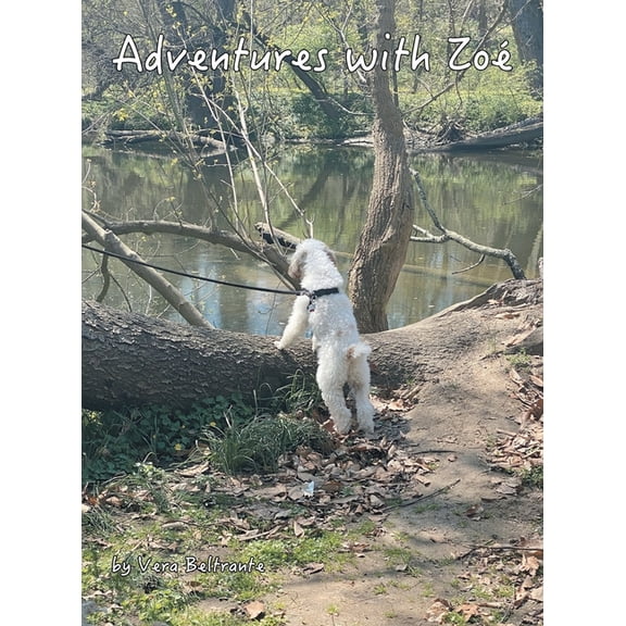 Adventures with Zoé, (Hardcover)