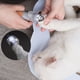 thumbnail image 4 of Tijeras profesionales para uñas de mascotas, para perros y gatos, cortauñas, recortador de garras, luz LED, para mascotas, 4 of 5