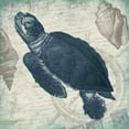 thumbnail image 3 of Grey, Jace 15x15 Black Modern Framed Museum Art Print Titled - Turtle, 3 of 5