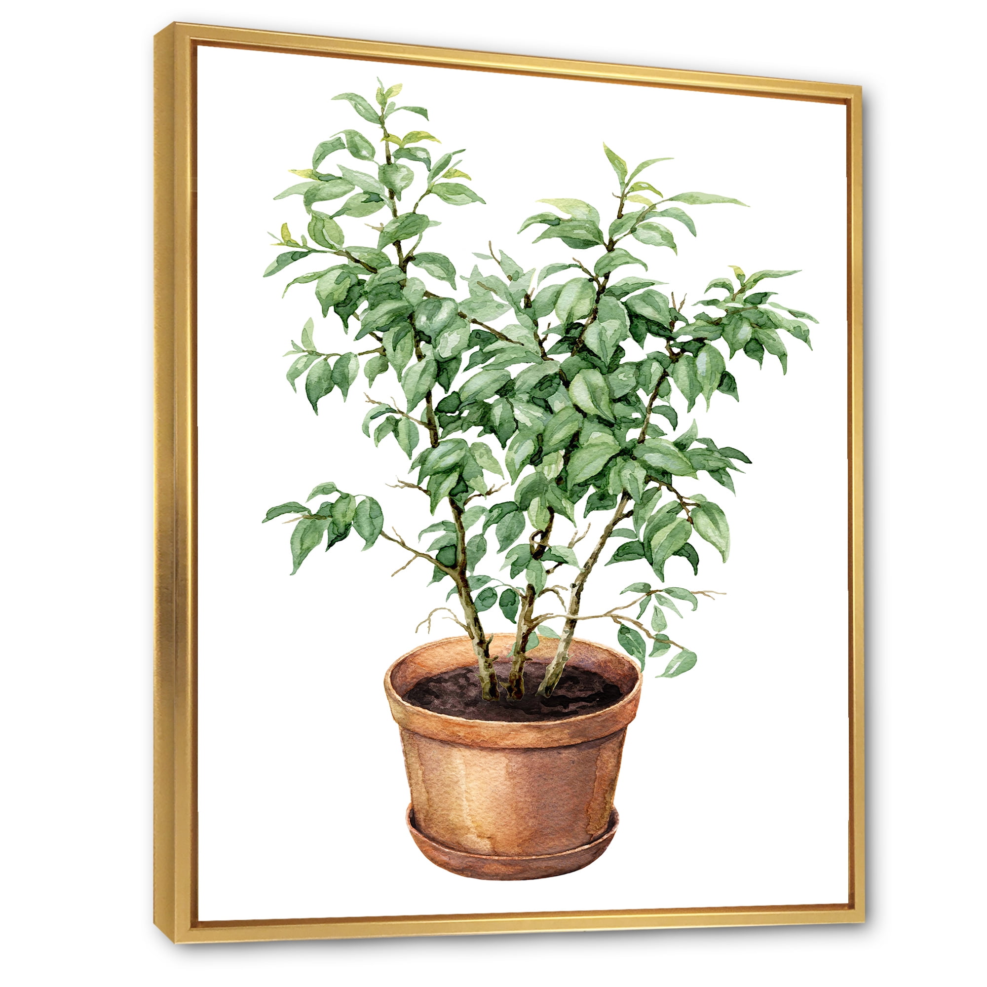 Designart 'Ficus Benjamina Plant In Clay Flowerpot' Traditional Framed Canvas Wall Art Print