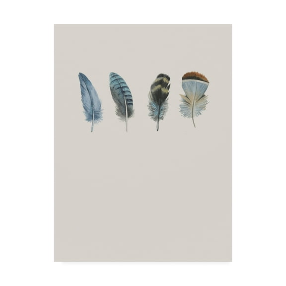 Trademark Fine Art 'Feather 11' Canvas Art by Incado