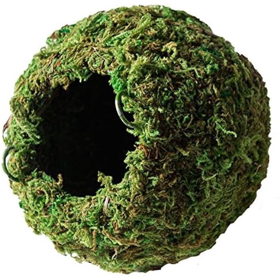 Galápagos (05348) Mossy Cave Hide, 6", Green Sphagnum