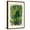 Brown Frame, variant on Art.com Vector Vintage Composition. Exotic Leaves. Botanical Classic Illustration. Art Print by Olga Korneeva, 24" x 36"