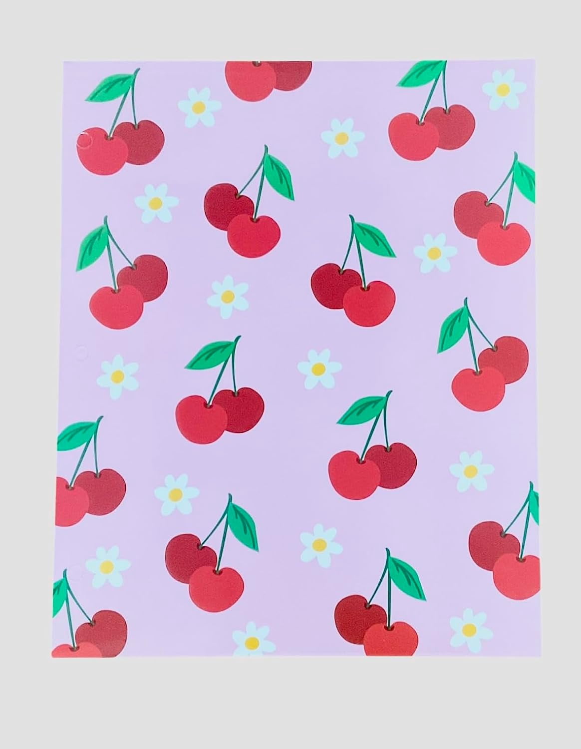 Back to School 2 Pocket Folders Hearts, Flowers, Cherries, Rainbows  Set of 4  Elementary Grade School